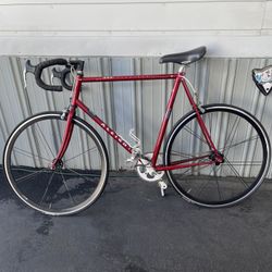 Raleigh RT 505 Aluminum Bicycle