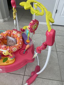 Fisher-Price Baby Bouncer Pink Petals Jumperoo Activity Center with Music  and Lights 
