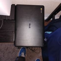 Asus Chromebook