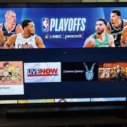 Samsung  65inch TV