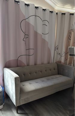 Modern Velvet Couch • Minimalist Style • Excellent Condition