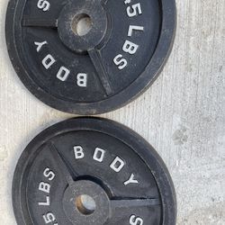 45lbs Olympic Plates Pair
