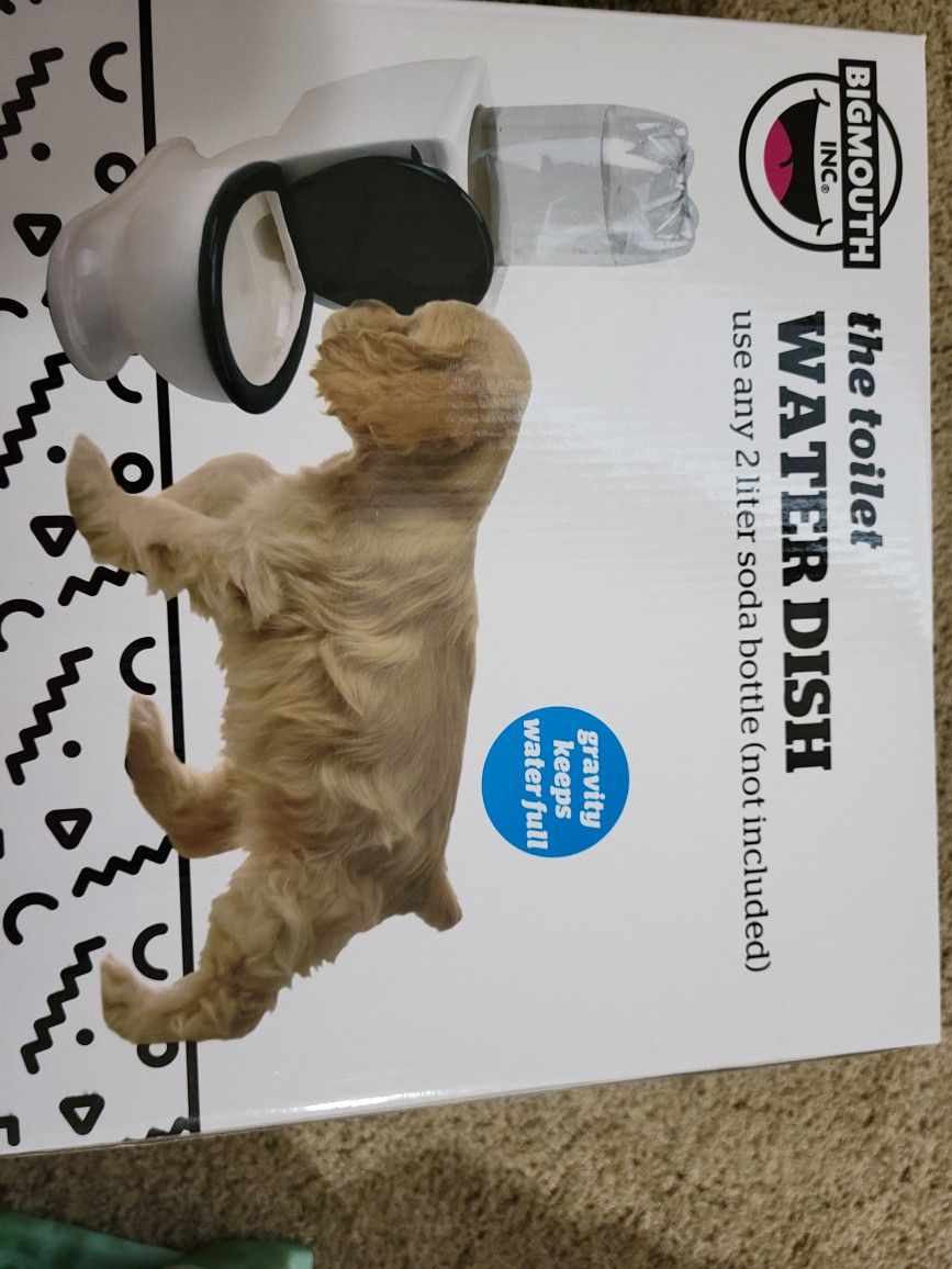 Dog Water Bowl