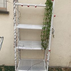 Plant Rack