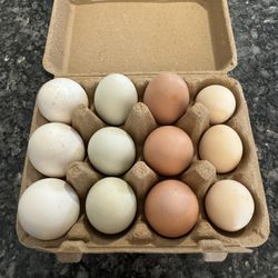 One Dozen fresh Eggs 