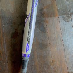 Mizuno Bat 