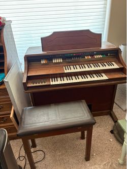Organ