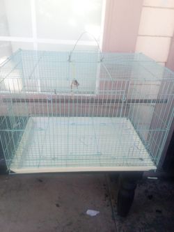 Bird cage