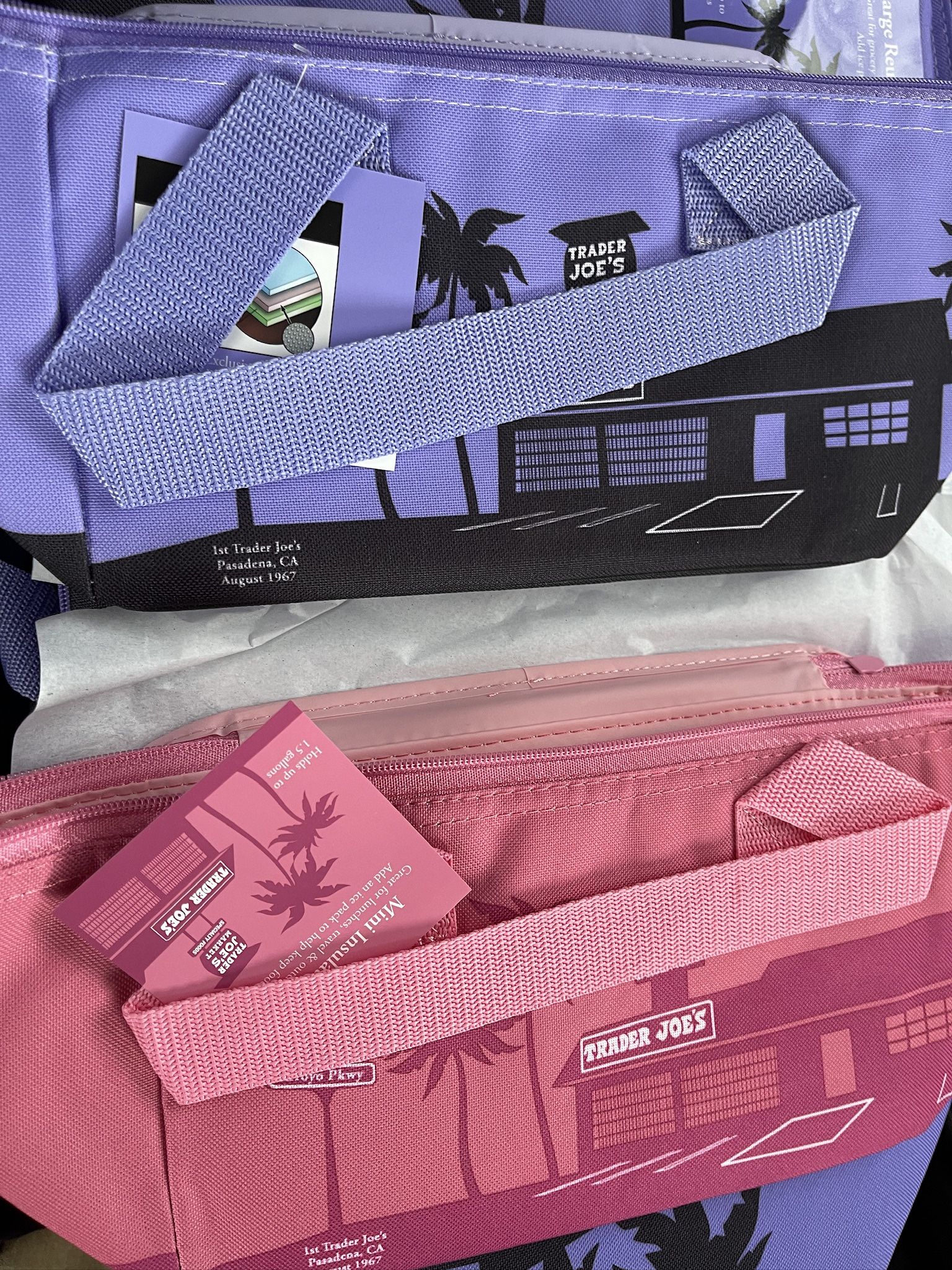 Trader Joes Mini Insulated Cooler Bag