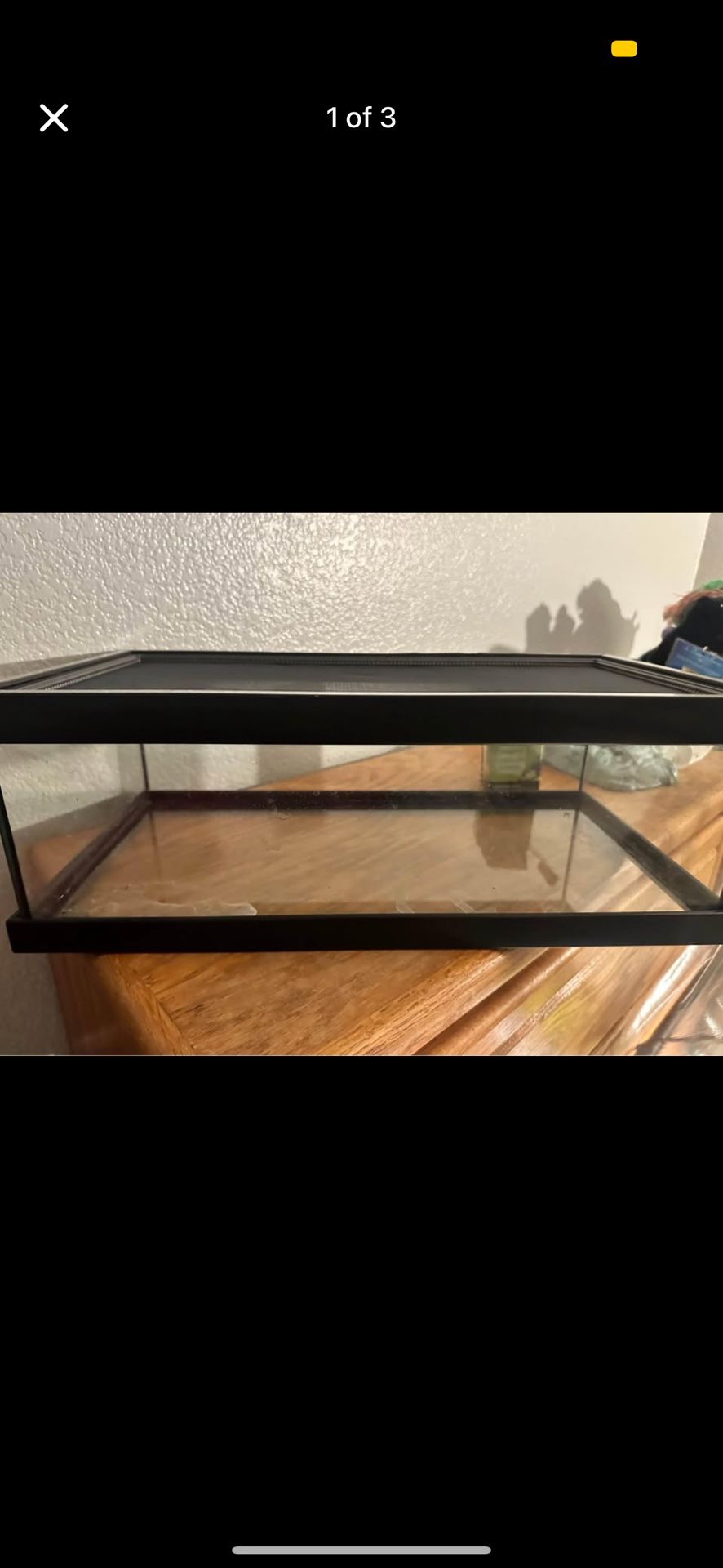 10 Gallon Tank