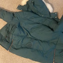 green Moose with Fur