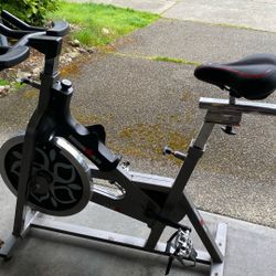 Ironman Exercise Bike