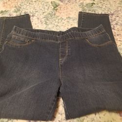 Faded Glorey Size 18 Eladtic Waste 
