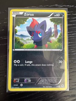 Pokémon ( ZORUA)