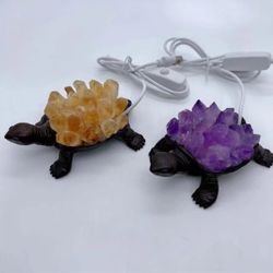 Turtle Light