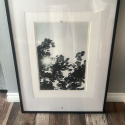 Picture Frame