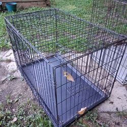 Kennel Crate/ Medium