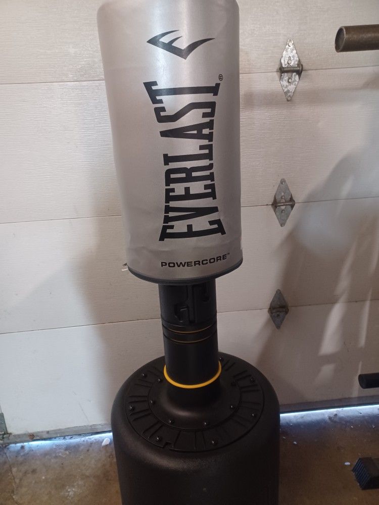 Everlast Punching Bag