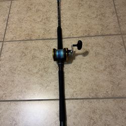 Fishing Rod and Reel