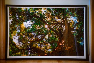 Large Framed Giclée Fine Art Photography – Signed Statement Piece (24x36)