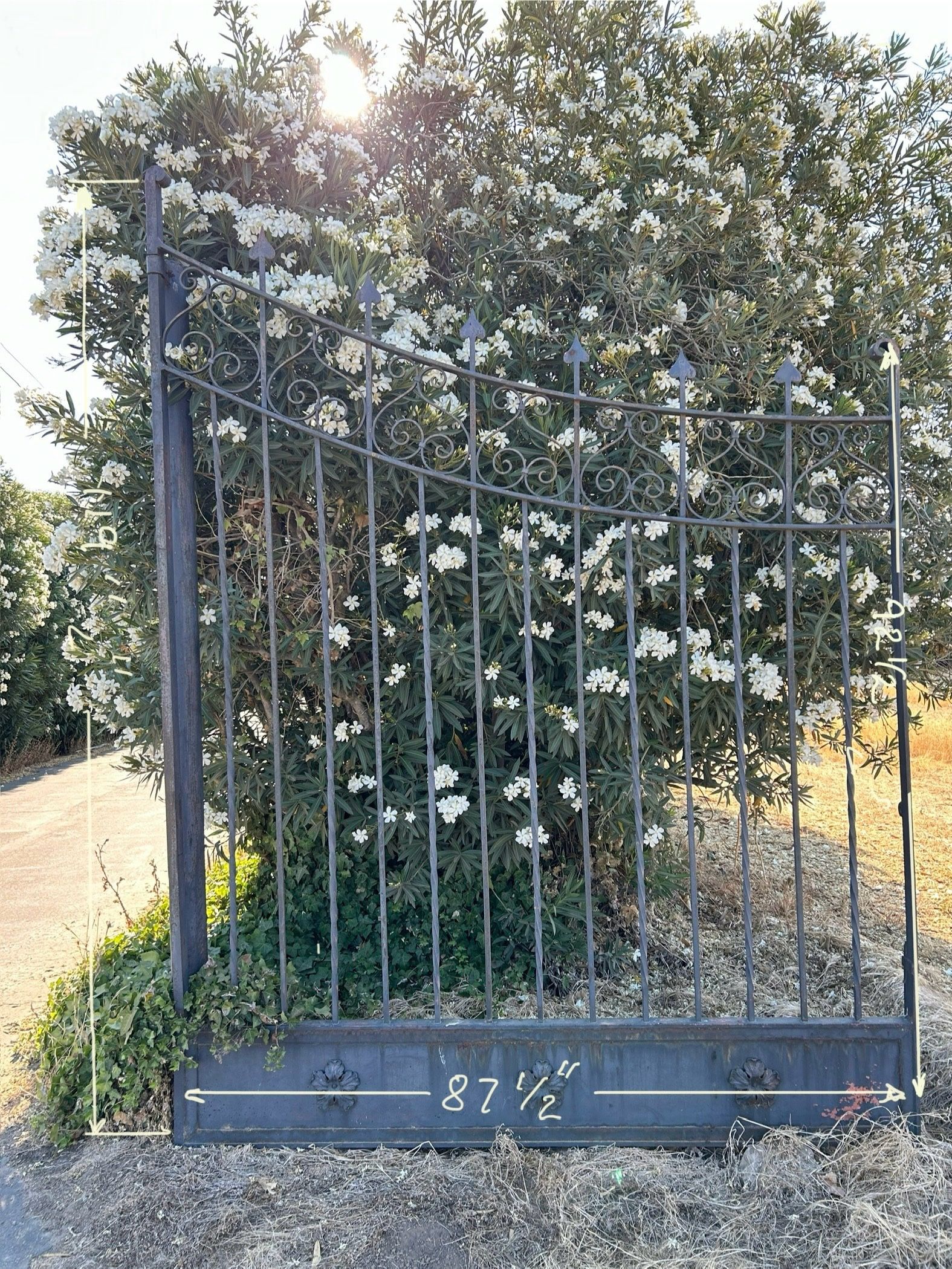 2 Large Driveway Iron Gates