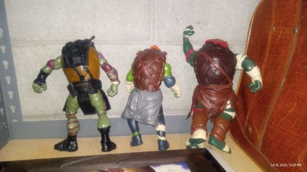 Ninja Turtles Action Figures 
