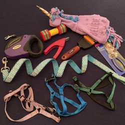 Dog Supplies (leashes, Harness, Chew Toy, Etc.)