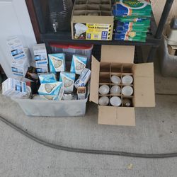 Light Bulbs Different Sizes 