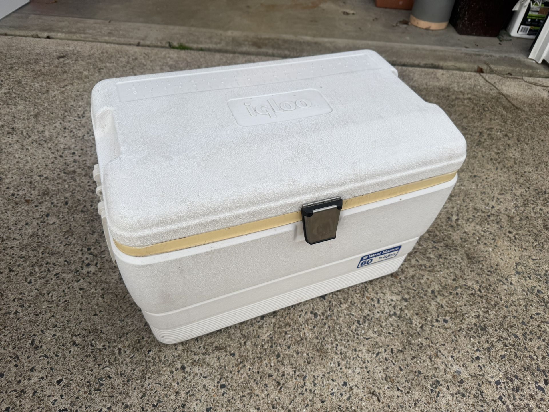 Igloo Cooler 60 qt