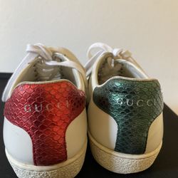 Gucci Ace Sneakers (Authentic)