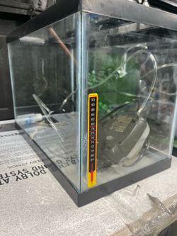 5 gallon tanks