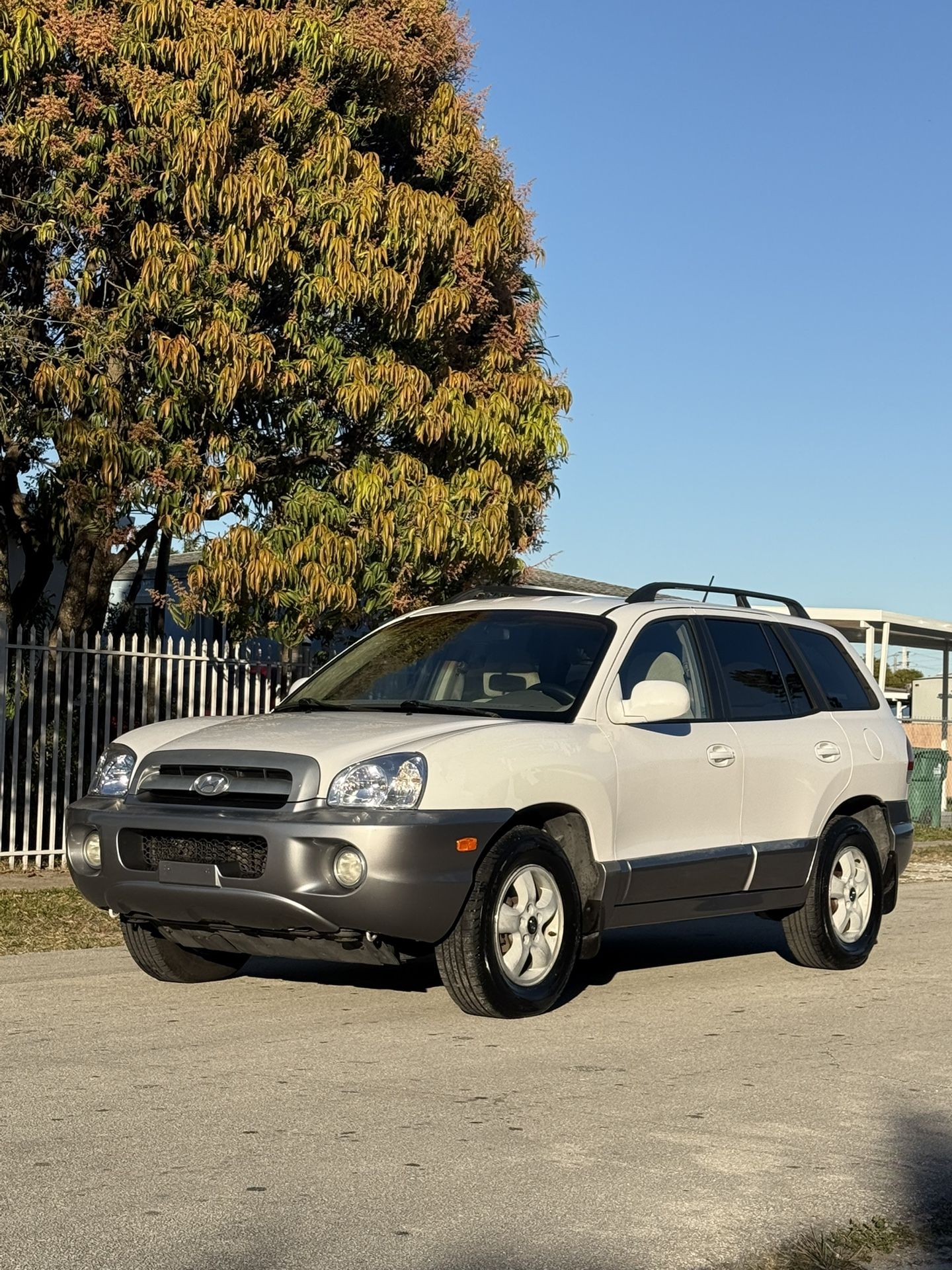 2006 Hyundai Santa FE