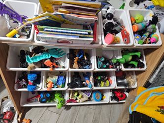 Toy storage