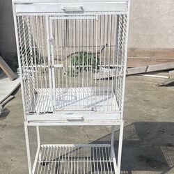 Bird Cage
