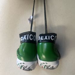 Mini Boxing Gloves With Mexican Flag