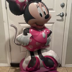 Minnie Mouse Party Fiesta