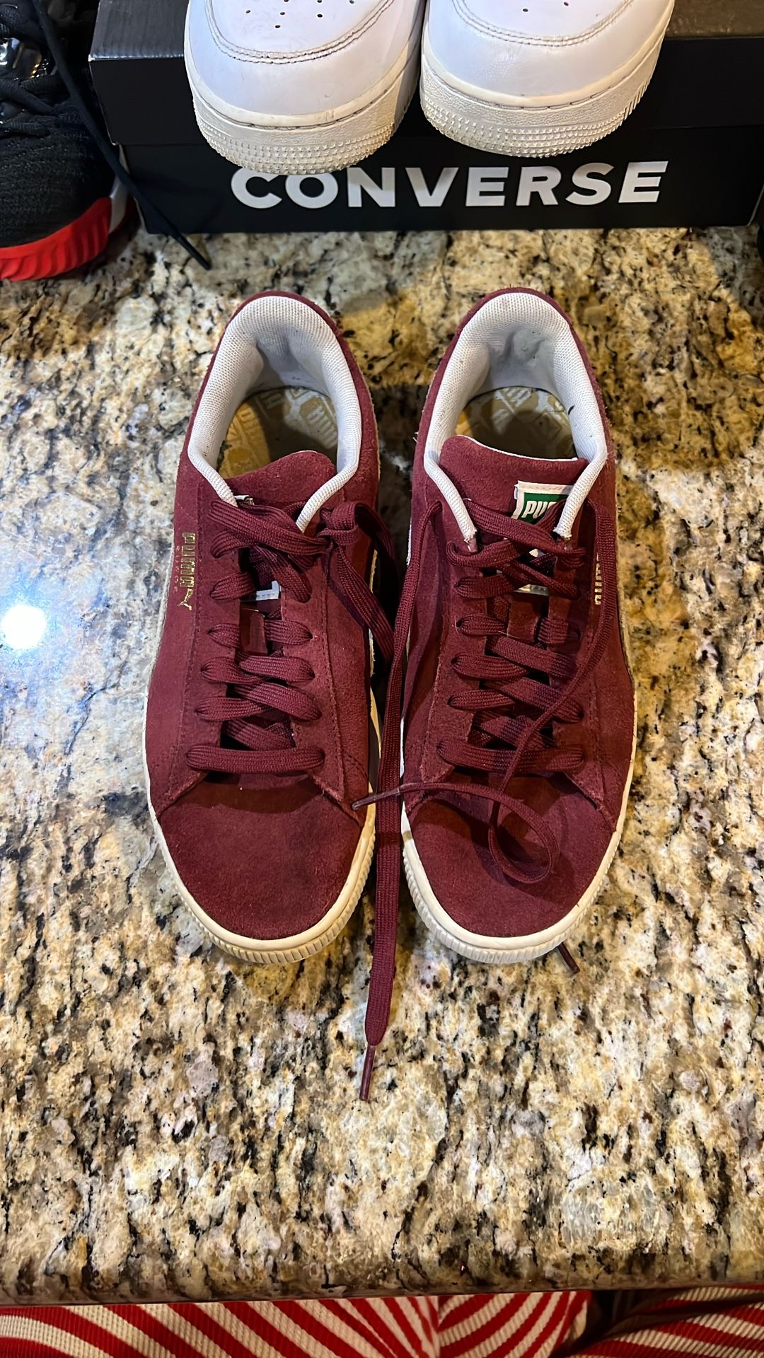 Puma 8