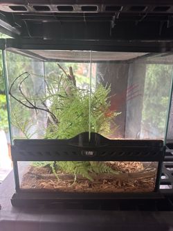 Small reptile enclosure