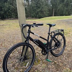 E Bike (Radmission 1)