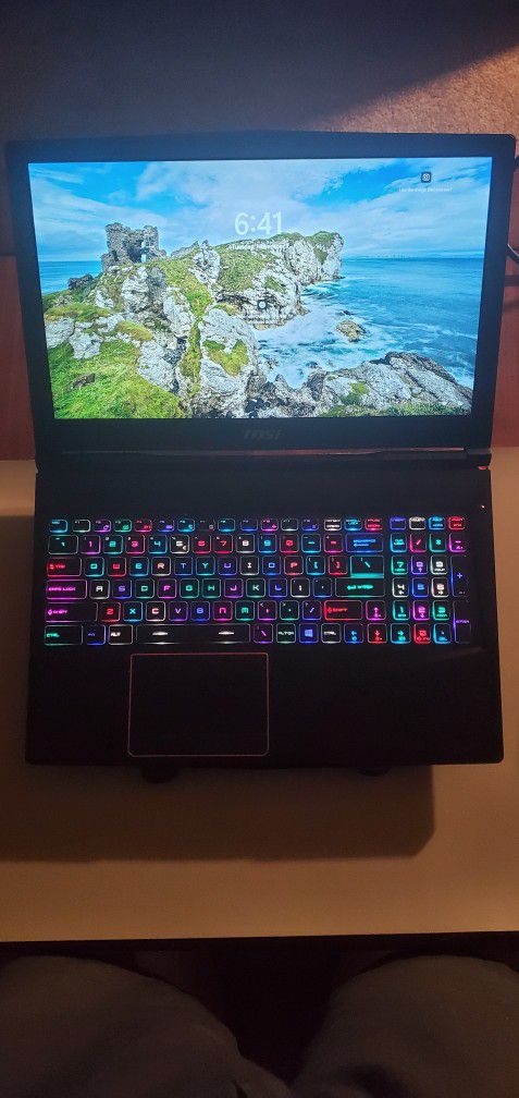  Gaming Laptop MSI GE63 Raider RGB 8SF 