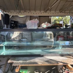 130 Gallon Fish Tank 