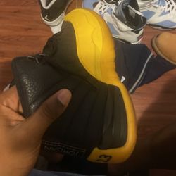 Air Jordan 12’s