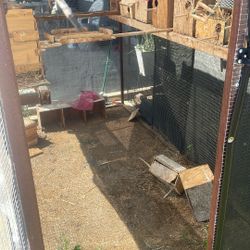 Jaula Para Pájaros 🦅 