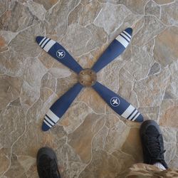 Bookshelf And Propeller