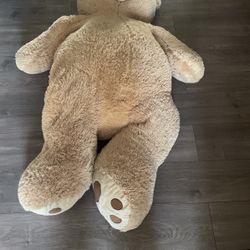 Big teddy bear