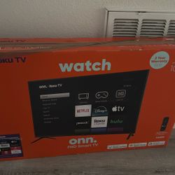 Roku 40inch TV