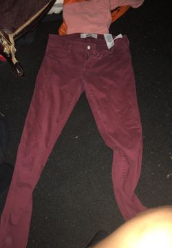 Hollister burgendy pants
