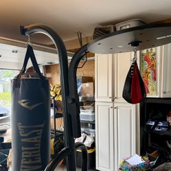 Heavy Nag & Speed Bag W/ Stand 