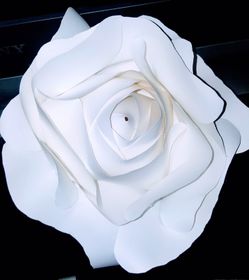 Paper rose for decoration