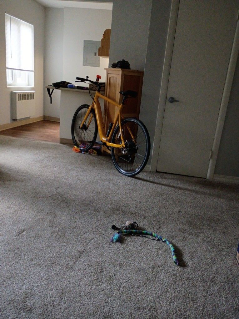 E Bike